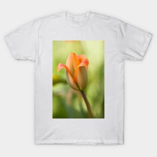 Tulip T-Shirt